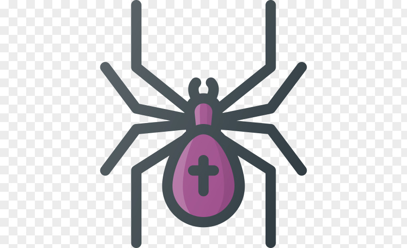 Spider Cobweb Clip Art PNG