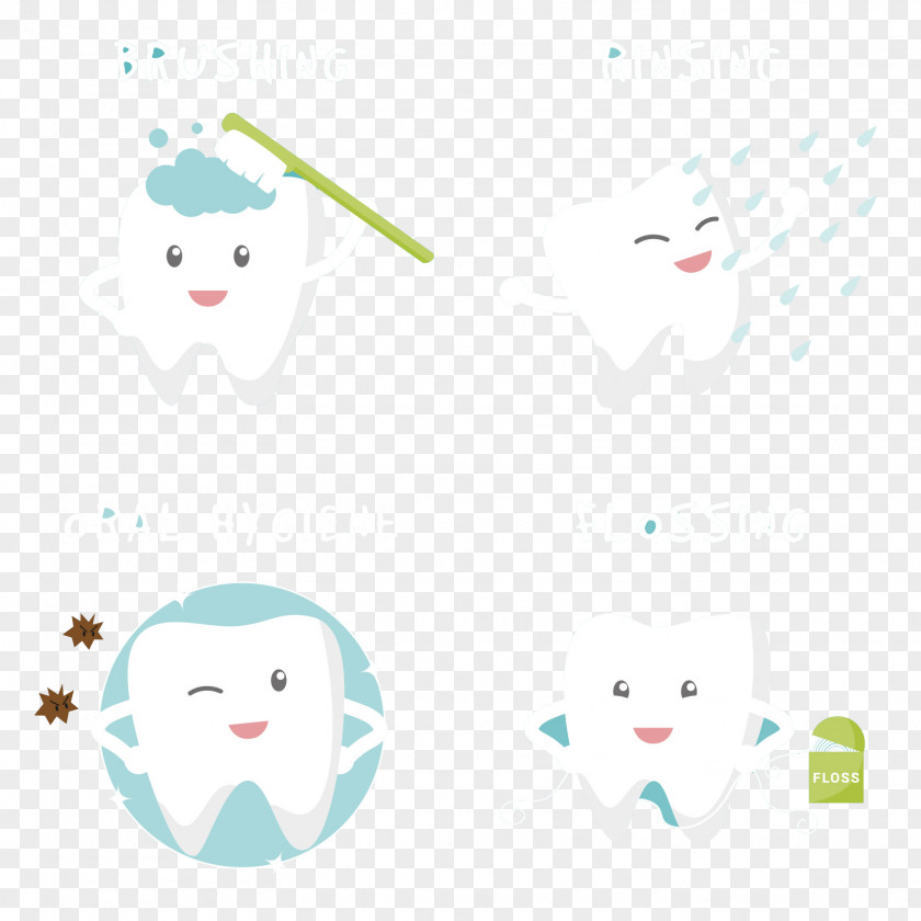 Vector Teeth Cleaning Tooth Euclidean PNG