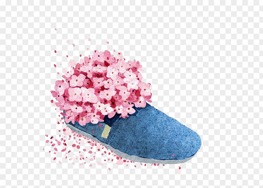 Art Shoes Shoe Illustration PNG