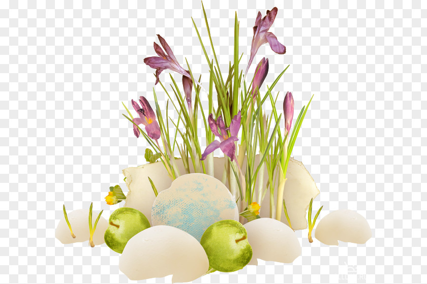 Easter Floral Design Cut Flowers Flowering Plant PNG