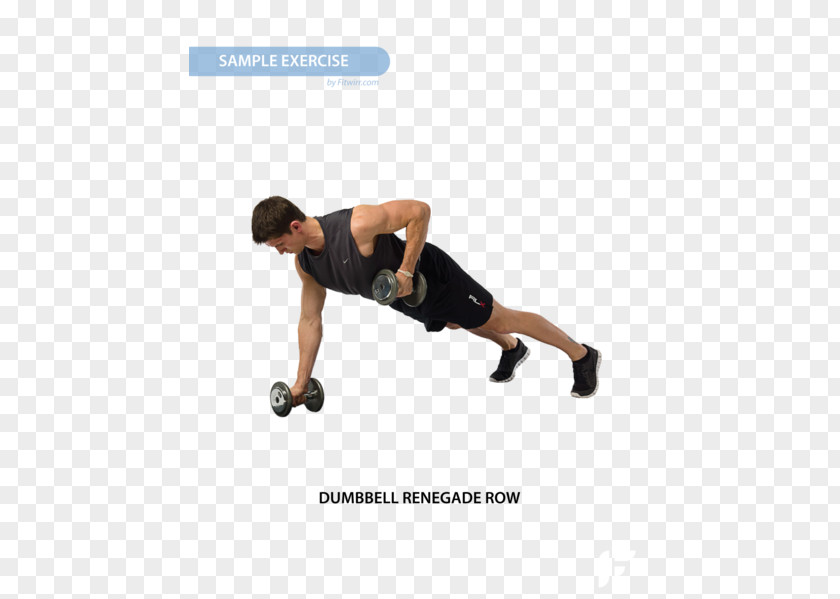 Gym Muscle Building Poster Kettlebell Physical Fitness Dumbbell Exercise Centre PNG