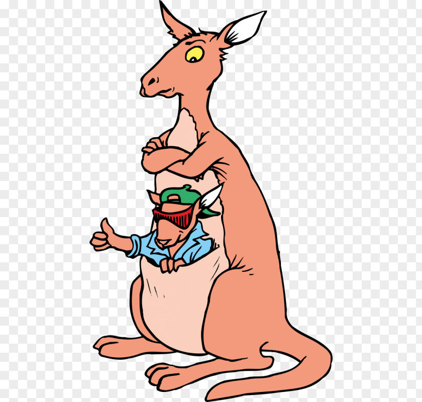 Kangaroo Animation Macropodidae Clip Art PNG