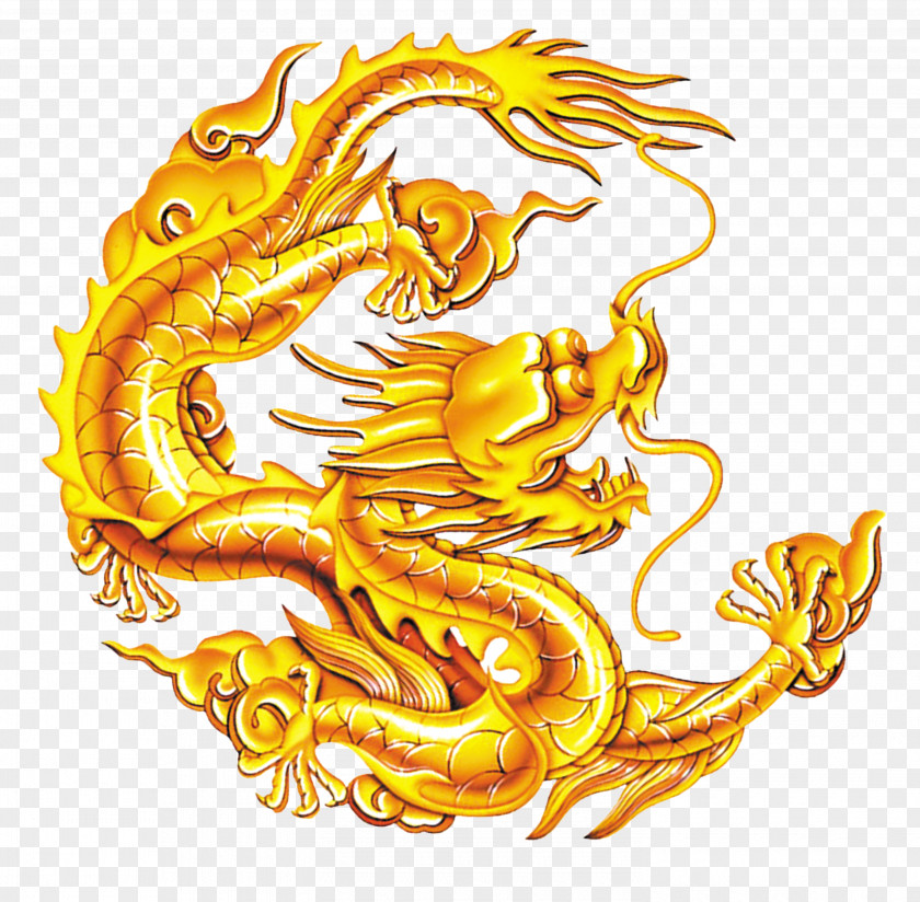 Chinese Dragon,Golden Dragon Diri PNG