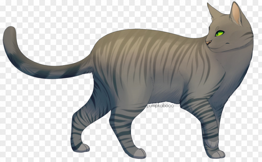 Exaggeration Whiskers Domestic Short-haired Cat Cats Of The Clans Raggedstar PNG