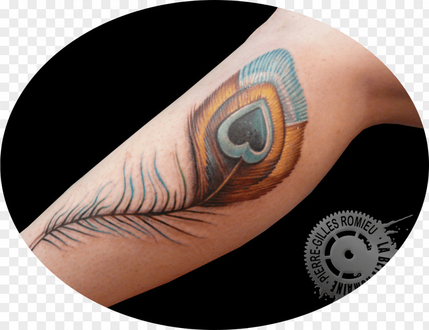 Feather Bird Tattoo PNG