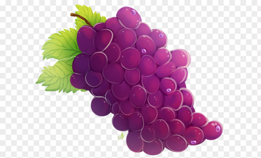 Grape Seed Extract Seedless Fruit Berry PNG