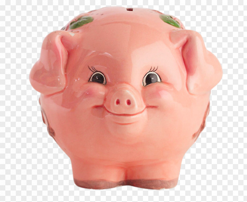 Happy Pig Piggy Bank Domestic PNG