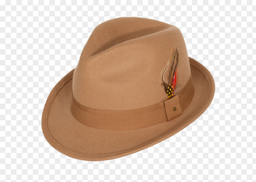 Hat Fedora Wool Levine Co. Stain PNG