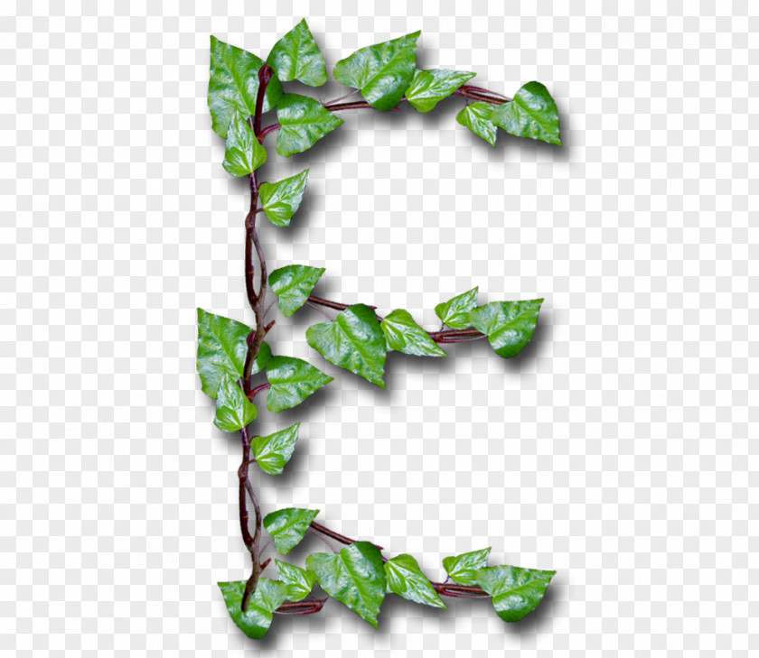 Youtube Letter Common Ivy YouTube Leaf Alphabet Inc. PNG
