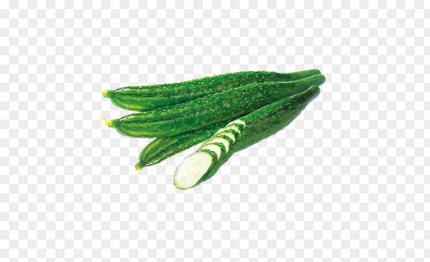 Cucumber Leaf PNG