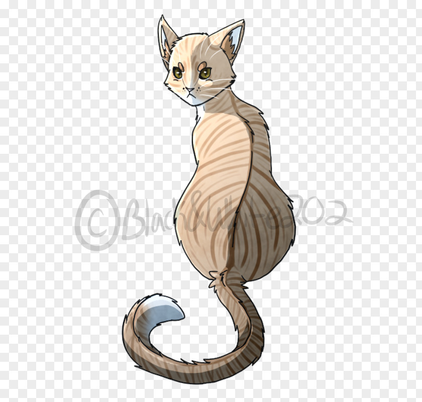 Kitten Tabby Cat Domestic Short-haired Whiskers Wildcat PNG