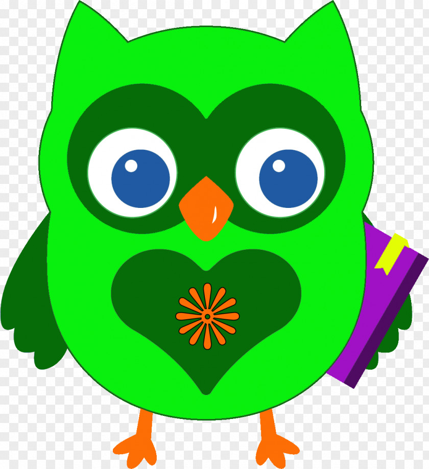 Owl Beak Bird Clip Art PNG