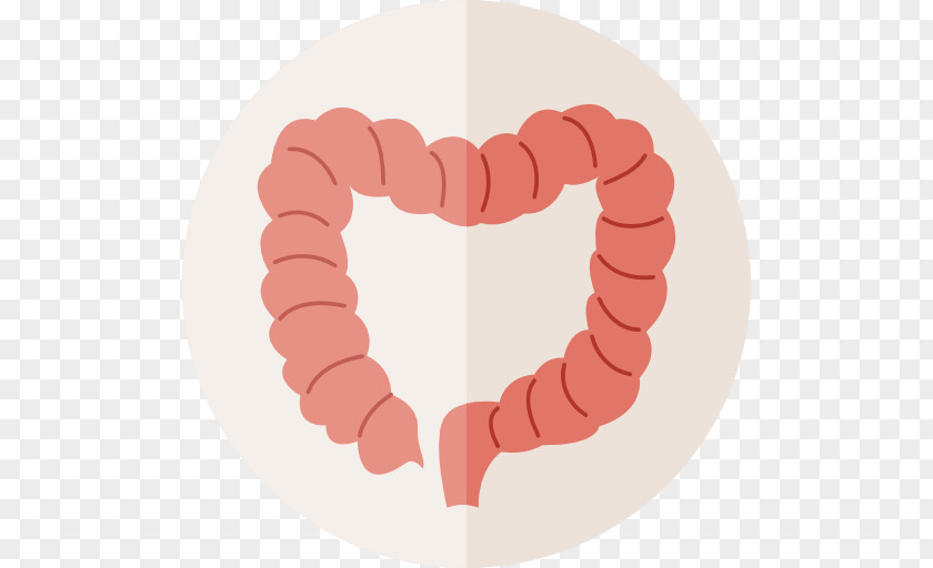Humanoid Icon Large Intestine Gastrointestinal Tract Small Human Body PNG