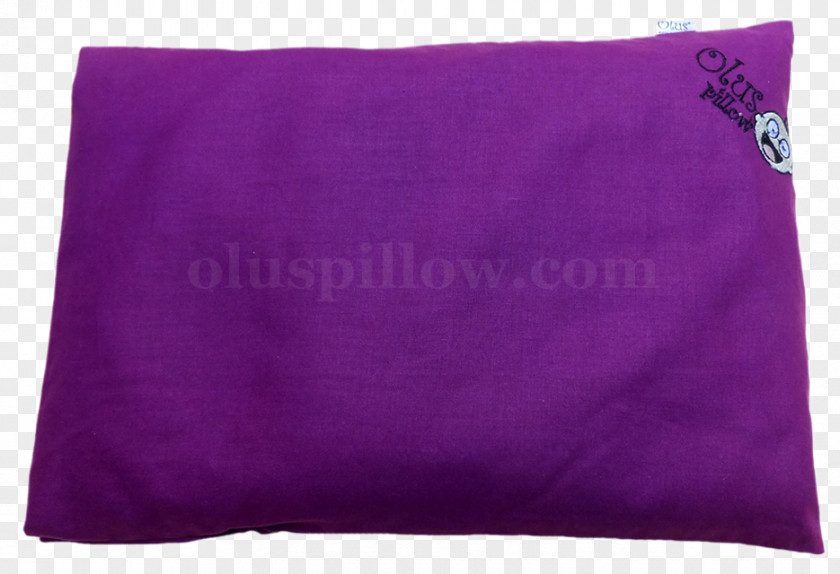 Kacang Hijau Cushion Throw Pillows PNG