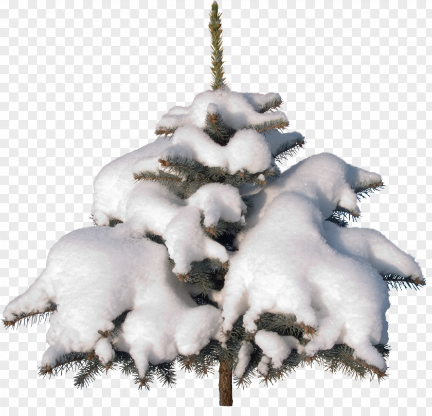 Snow Tree Christmas Ornament Clip Art PNG
