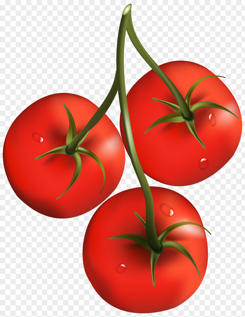 Tomatoes Cherry Tomato Vegetable Clip Art PNG