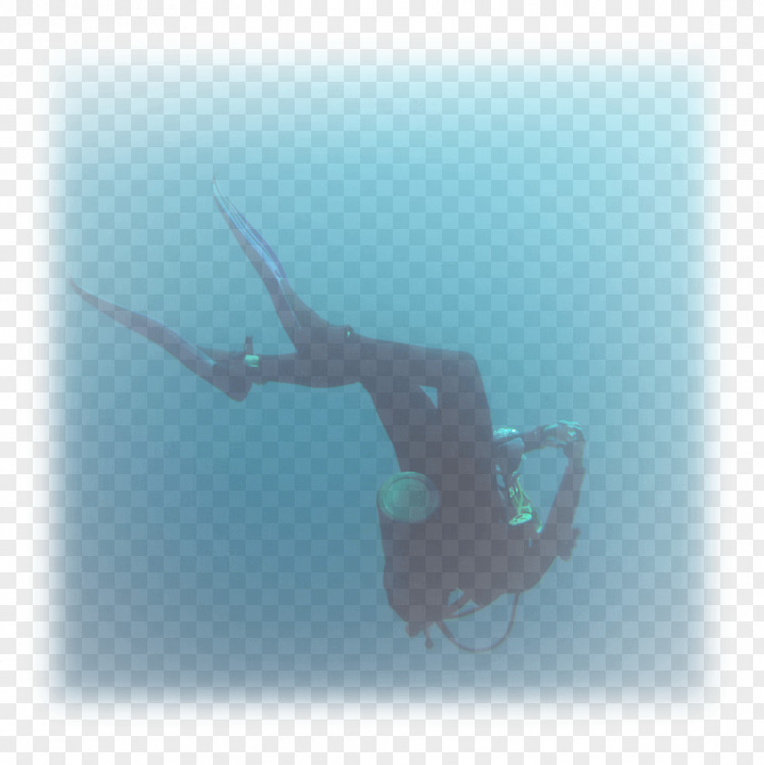 Water Free-diving Underwater Divemaster PNG