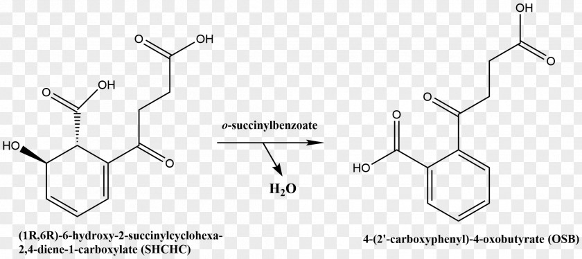 Chemical Reaction Catalysis Enolase Dehydration Compound PNG