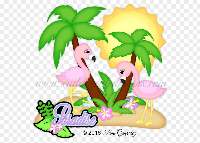 Flamingos Vertebrate Art Animal Bird PNG