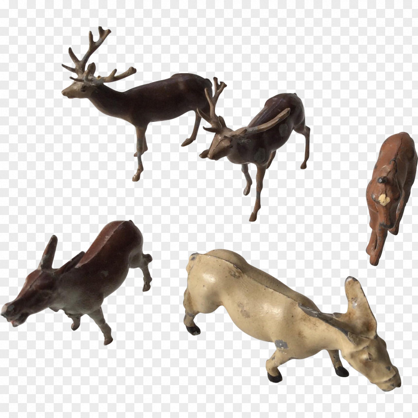 Mule Reindeer Antelope Cattle Antler PNG