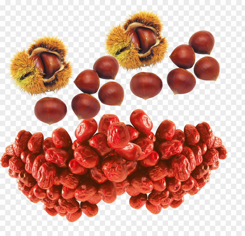 Castanea Henryi And Dates Chestnut Icon PNG