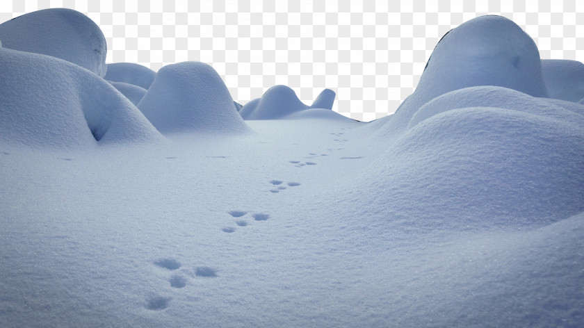 Creative Snow Daxue Winter PNG