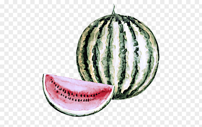 Cucumis Vegetable Watermelon PNG