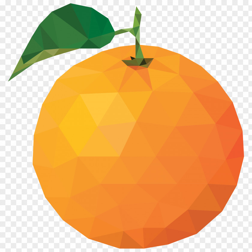 Edible Fruit Vector Graphics Image Photograph Orange PNG