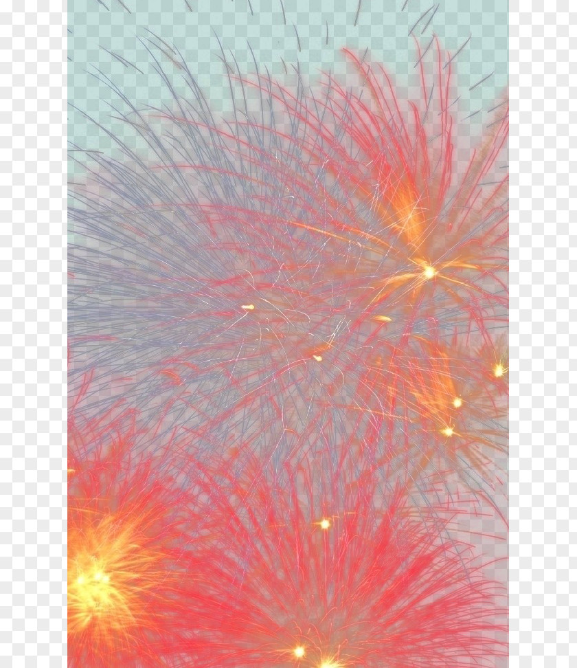 Fireworks Sky Explosive Material Close-up Computer Wallpaper PNG