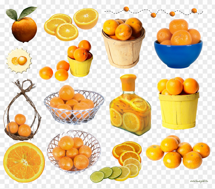 Clementine Mandarin Orange Clip Art PNG