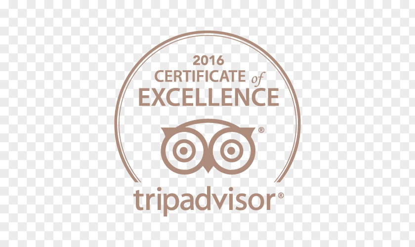 Excellence Certificate TripAdvisor Travel Hotel Resort Restaurant PNG