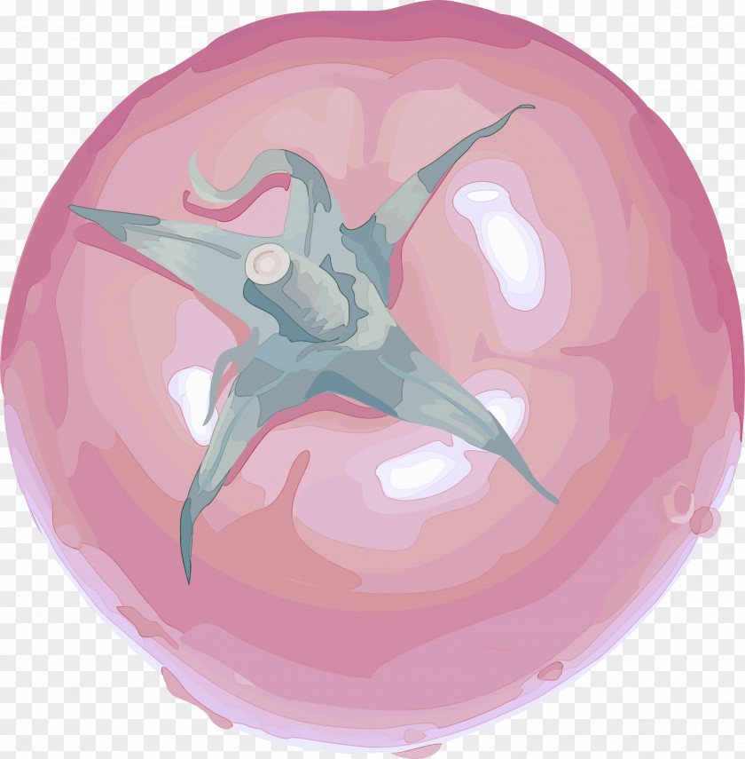 Fictional Character Dolphin Pink Magenta PNG