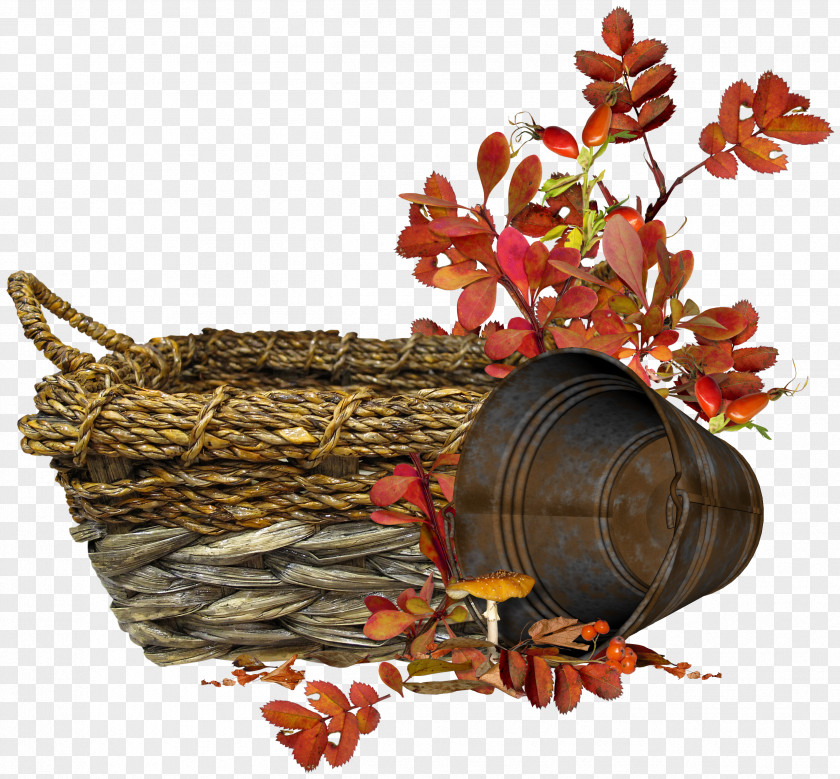 Foliage Iron Basket Animation Blog Clip Art PNG