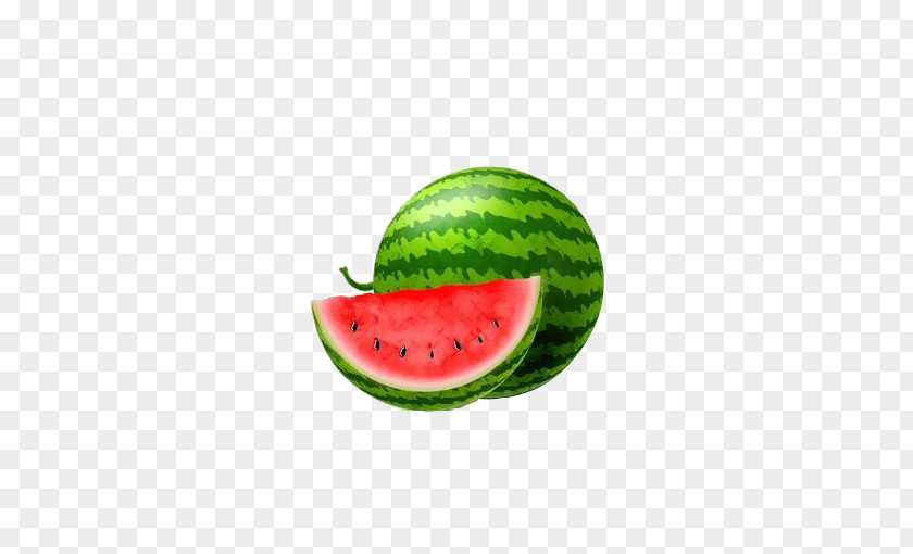 Hand Painted Watermelon And Slices Cantaloupe Honeydew Bitter Melon PNG