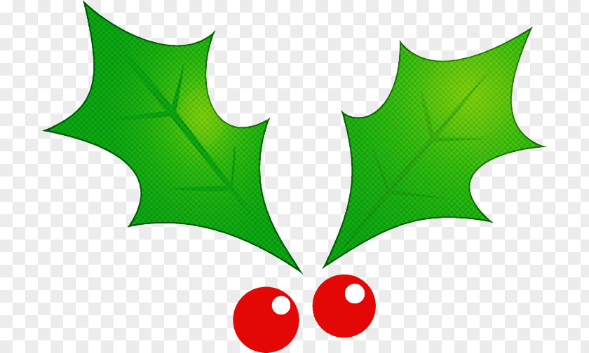 Holly PNG