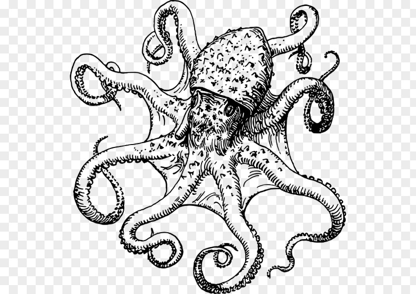 Octopus Logo Drawing Clip Art Image PNG