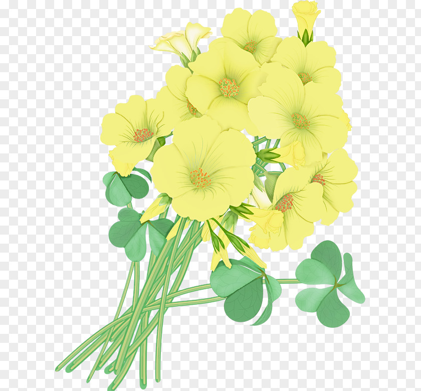 Bouquet Leaf Flower Flowering Plant Yellow Clip Art PNG