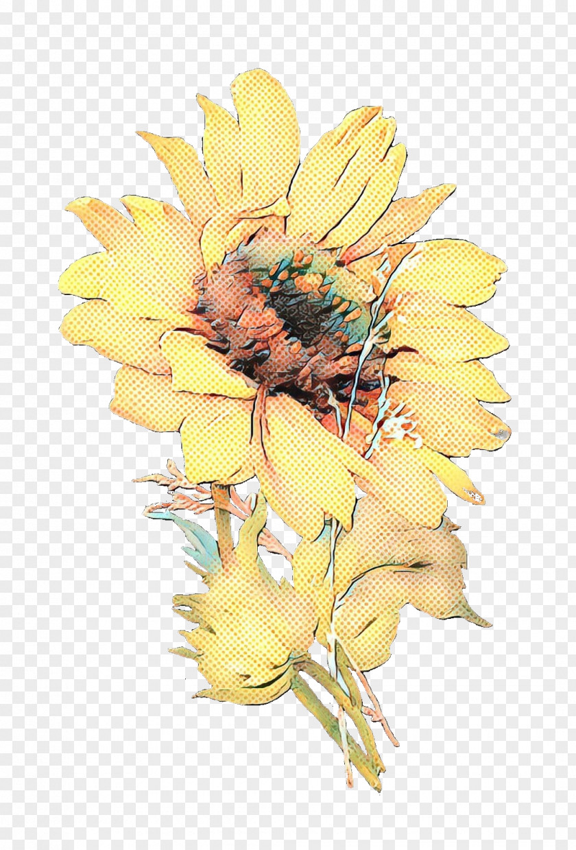 Brooch Gerbera Flowers Background PNG