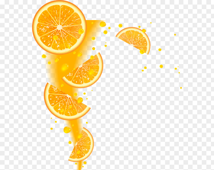 Fresh Lemon Orange Fruit Vector Material Juice Mandarin PNG