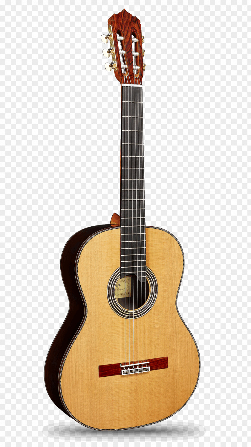 Guitar Alhambra Classical Flamenco Acoustic PNG