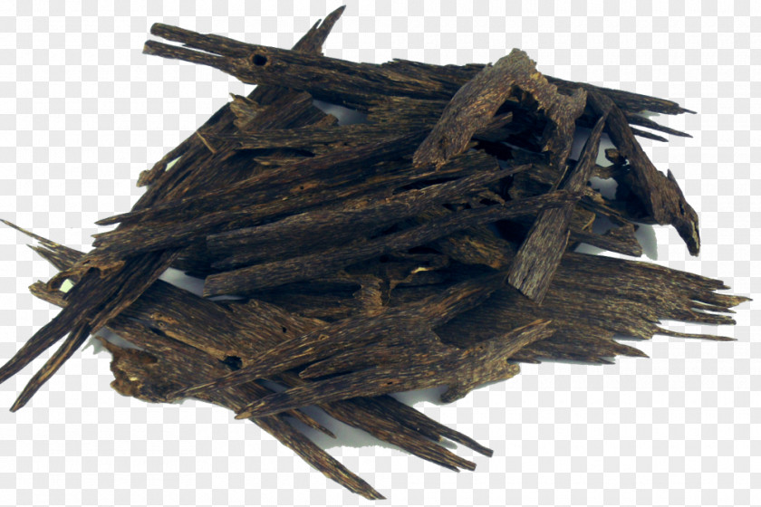 Perfume Agarwood Aquilaria Malaccensis Incense Body Spray PNG