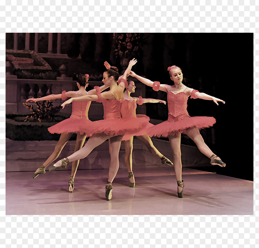 Ballet Modern Dance Performance Art PNG