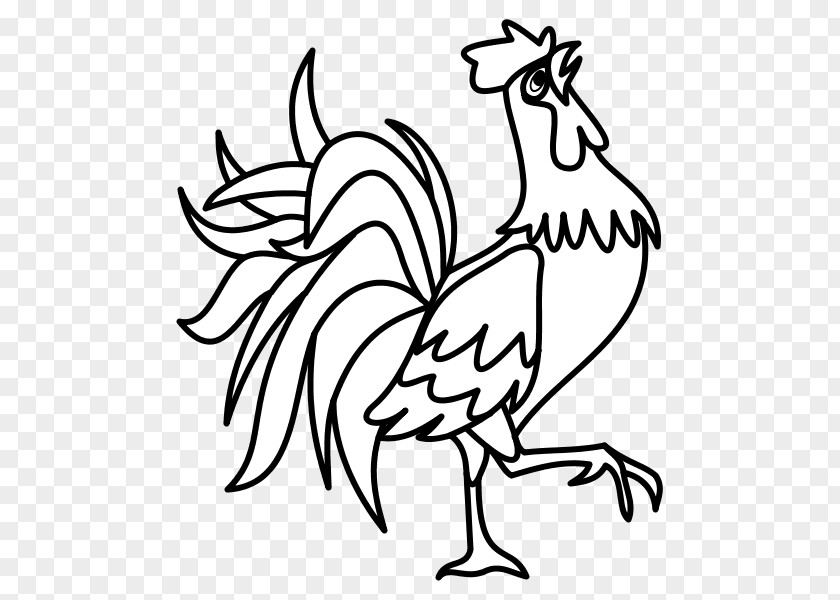 Chicken Rooster Drawing Coloring Book Sign PNG