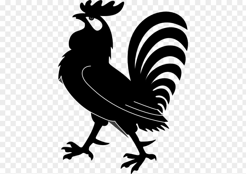 Cockerel Frame Chicken Rooster Clip Art Image PNG