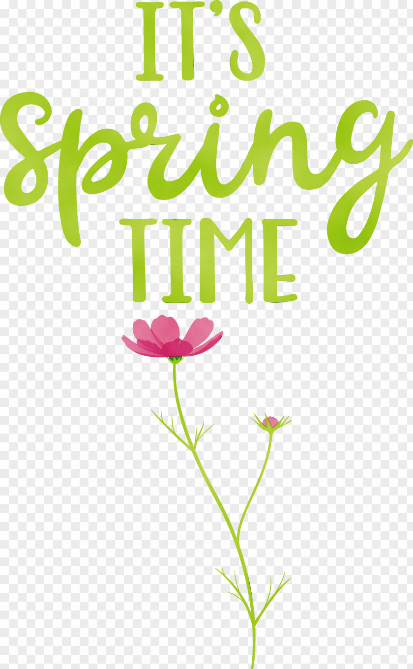 Floral Design PNG