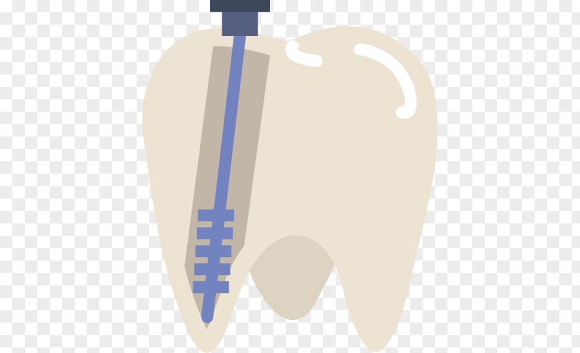 Health Dentistry Endodontic Therapy Tooth Pulp PNG