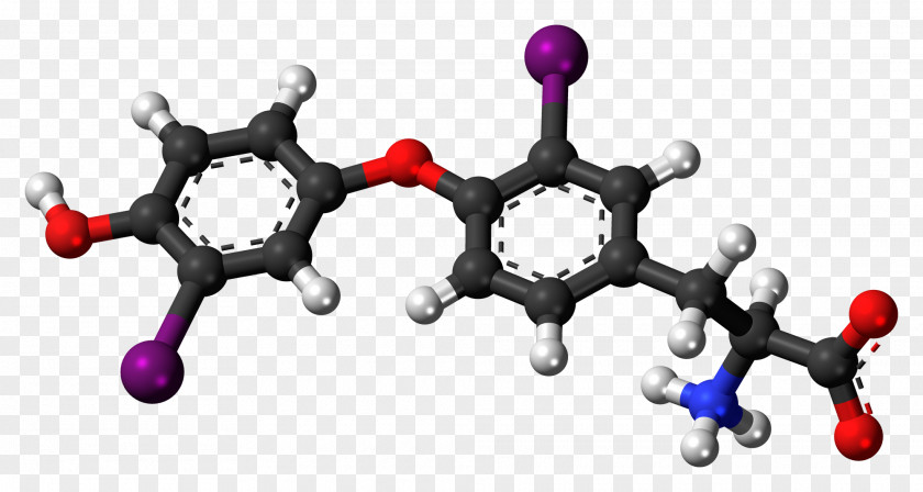 Molecule Tyrosine Dopamine Amino Acid Levodopa Phenylalanine PNG
