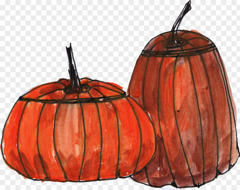 Pumpkin Drawing Line Art Cucurbita Clip PNG