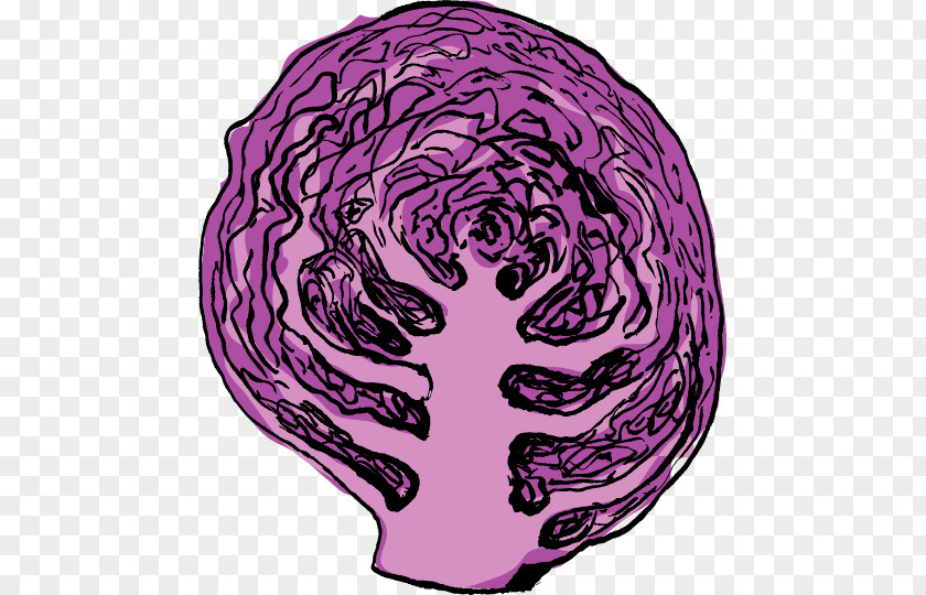Purple Kale Red Cabbage Clip Art Food Produce PNG