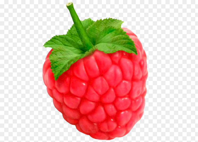 Raspberry Mari Belajar Learning Fruits PNG